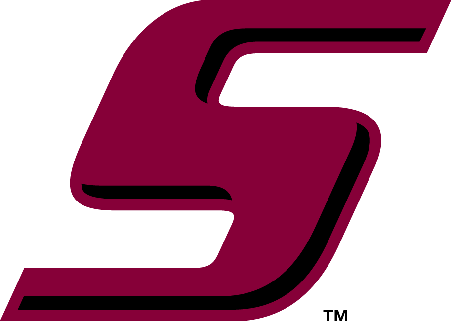 Southern Illinois Salukis 2001-2018 Wordmark Logo vinyl decal